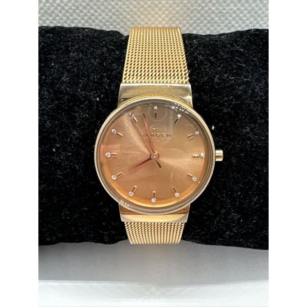 Skagen Ancher SKW2197 Women Stainless Steel Mesh Analog Dial Quartz Watch AEA012